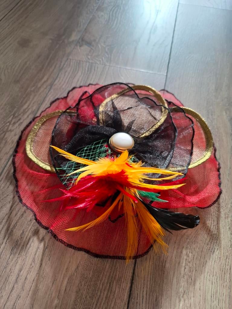 Carnavalsversiering broche of hoofddeksel, Kleding | Dames, Carnavalskleding en Feestkleding, Ophalen of Verzenden