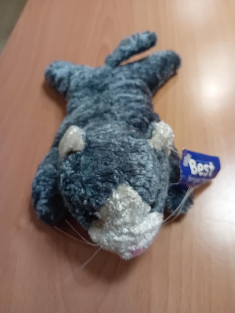 NIEUW poes met geluid werkt op 3 knoopcelbatterijen, Ophalen, Nieuw
