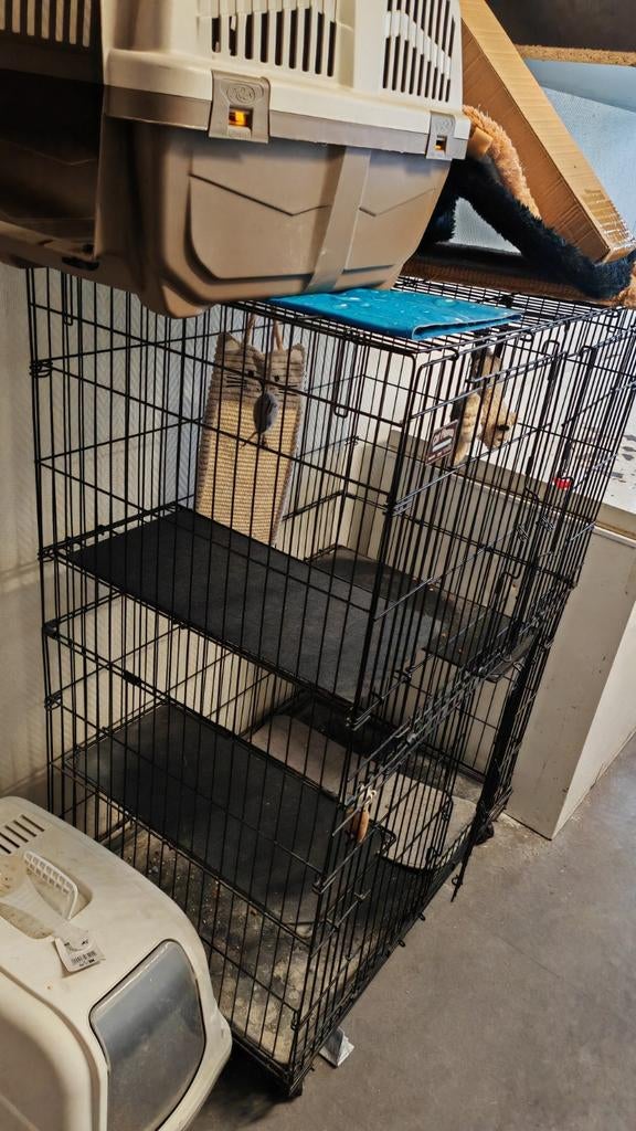 Kooi voor een kat, ophalen in Rotterdam, Ophalen of Verzenden