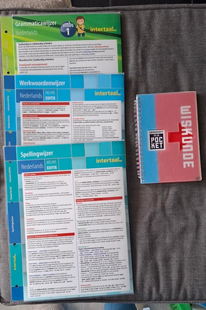 VMBO Hulp: Grammatica, Werkwoorden, Spelling, Wiskunde, Ophalen of Verzenden, Beta, Zo goed als nieuw