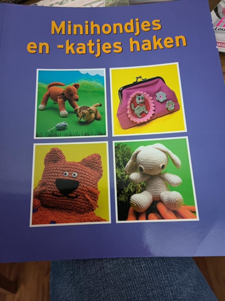 Minihondjes en -katjes haken - Haakboek, Ophalen of Verzenden, Zo goed als nieuw, Haken, Patroon of Boek