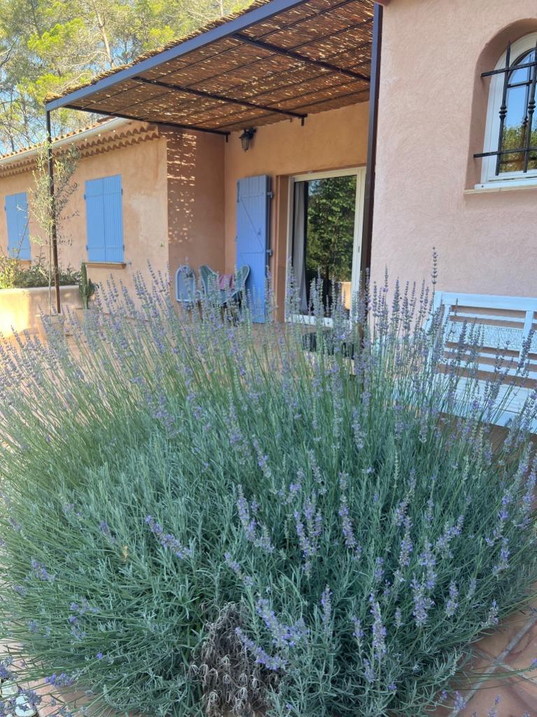 Vakantie Villa Lorgues (var, Provence, Cote), 8 personen, 4 of meer slaapkamers, In bos, Provence en Côte d'Azur