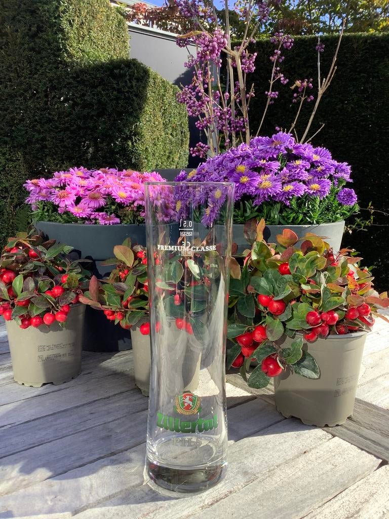 3 speciaalbier glazen - Zillertal - Warsteiner - Tyrol, Ophalen, Zo goed als nieuw, Bierglas
