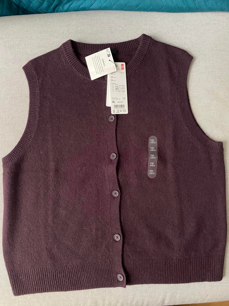 Gilet van 100% cashmere, Kleding | Dames, Ophalen of Verzenden, Nieuw, Maat 46/48 (XL) of groter, Overige kleuren