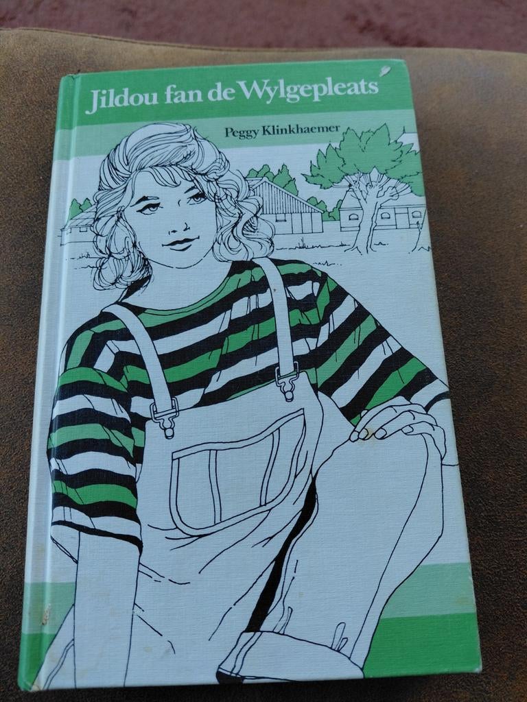 Fryske Boerenroman - Jildou fan de Wylgepleats, Ophalen of Verzenden, Gelezen, Peggy Klinkhaemer, Friesland