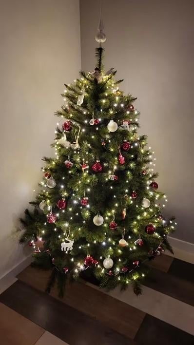 Kunstkerstboom; Triumph Tree Forest Frosted Green, 155 cm, Ophalen, Zo goed als nieuw