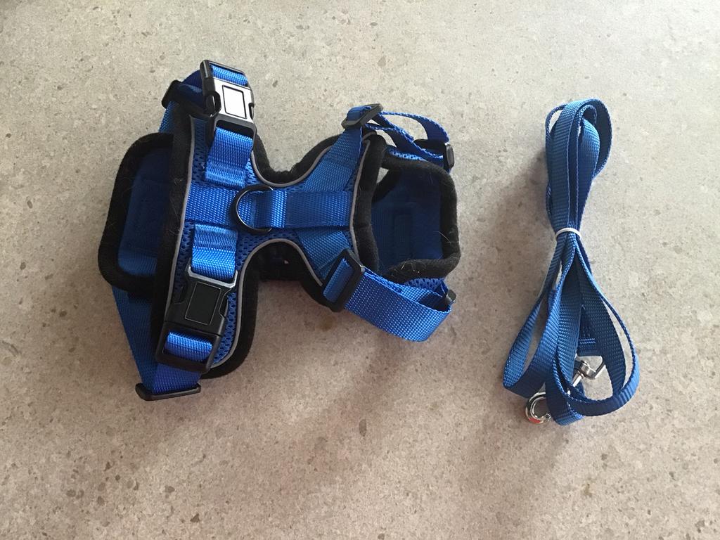 Wandelharnas voor kleine hond of kat maat S, Dieren en Toebehoren, Katten-accessoires, Ophalen of Verzenden, Zo goed als nieuw