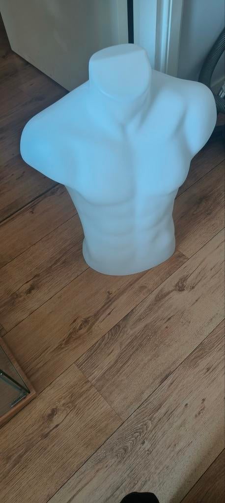 Heren torso x 3, Ophalen of Verzenden