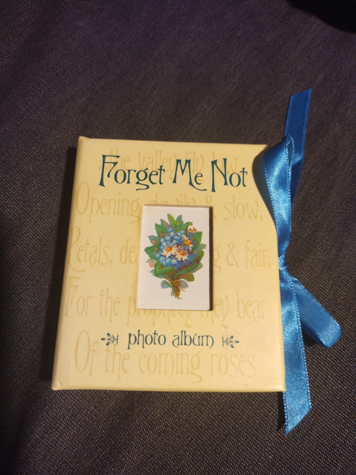 Mini vergeet-me-niet fotoalbum, nieuw, Ophalen of Verzenden, Zo goed als nieuw