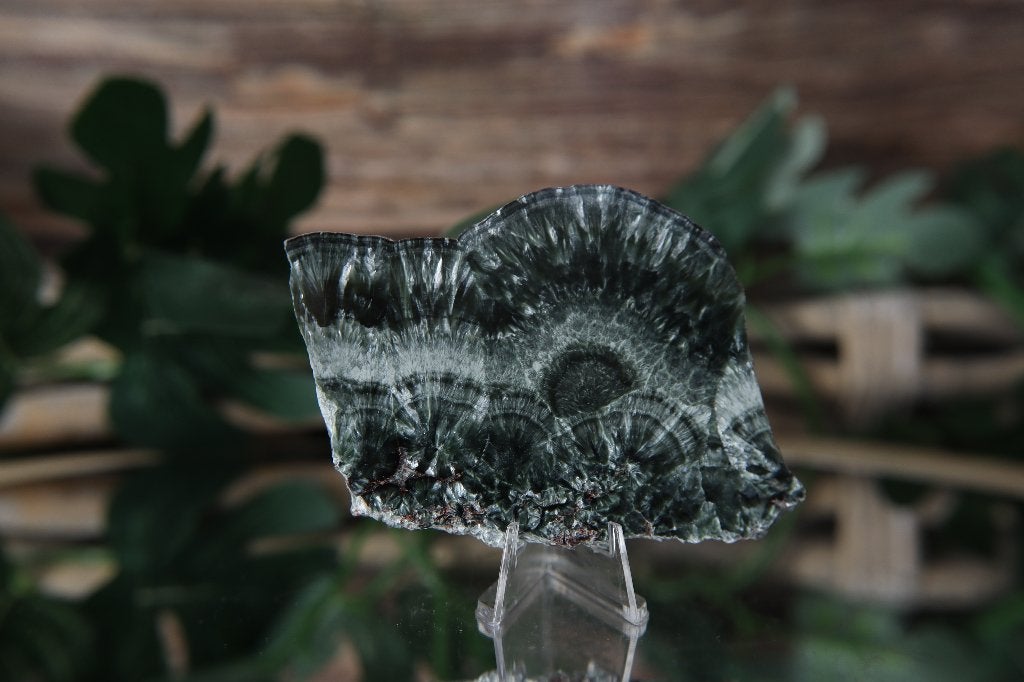 Forest Green Serafiniet #0689 (seraphinite, seraphiniet), Ophalen of Verzenden
