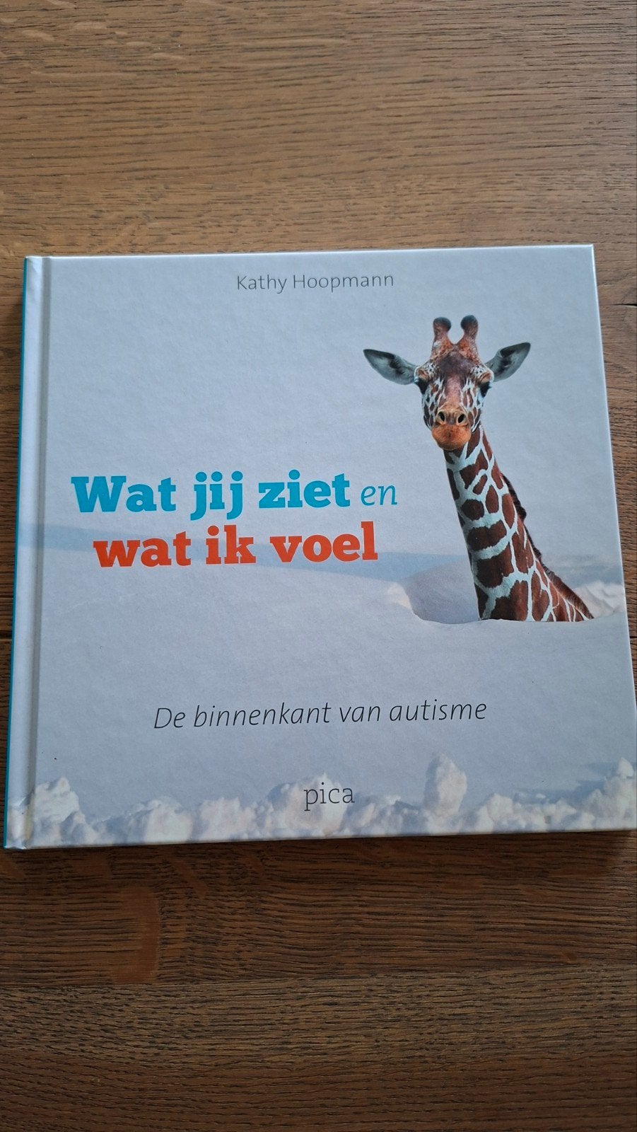 Kathy Hoopmann - Wat jij ziet en wat ik voel, Ophalen of Verzenden, Kathy Hoopmann, Ontwikkelingspsychologie, Zo goed als nieuw