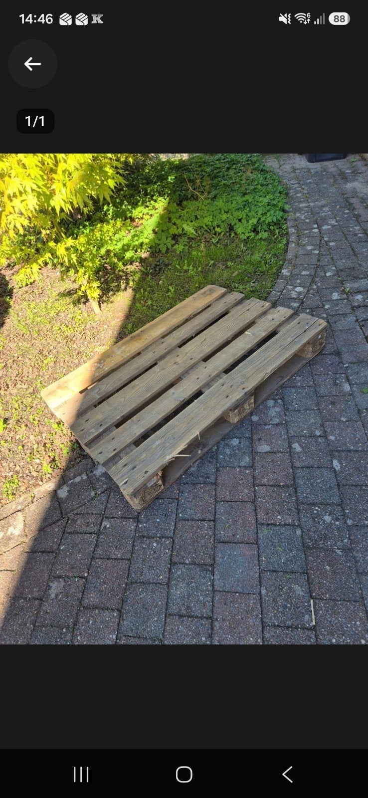 Gratis pallet - afhalen, Ophalen of Verzenden