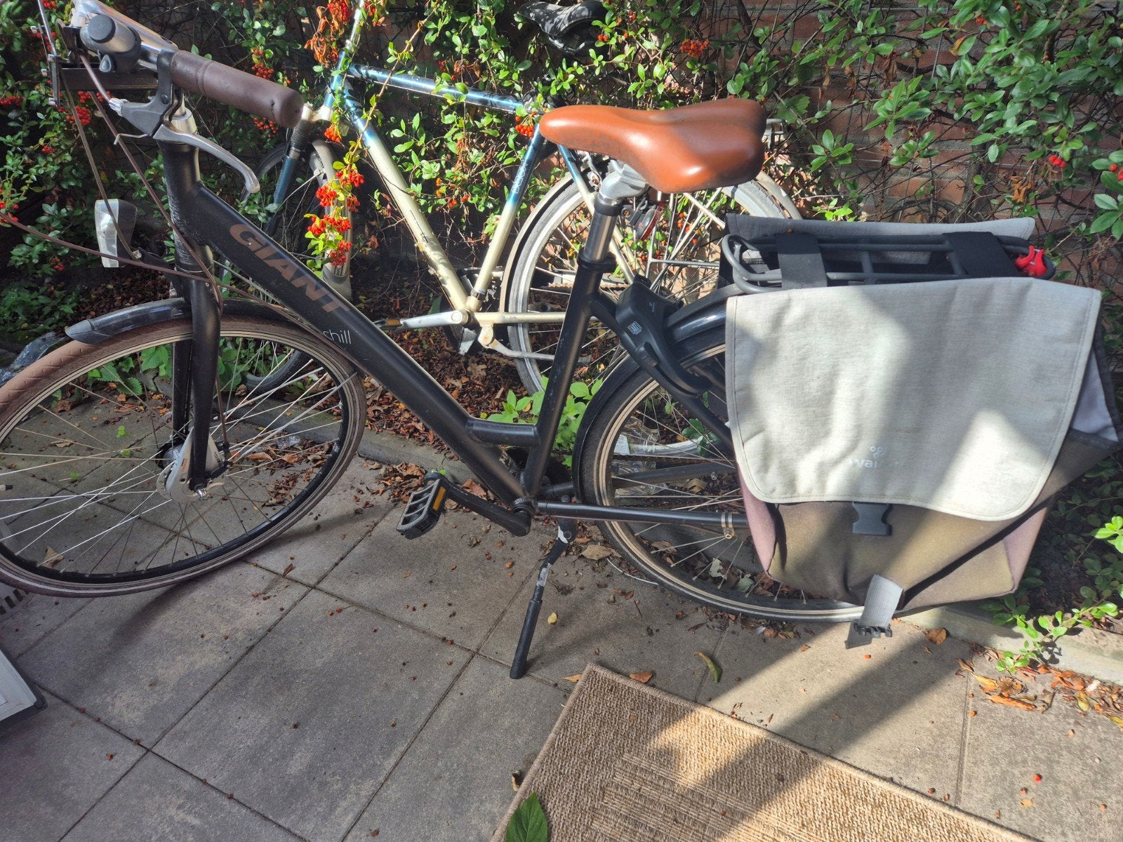Giant Damesfiets - Opknapper, Ophalen, Gebruikt, Giant