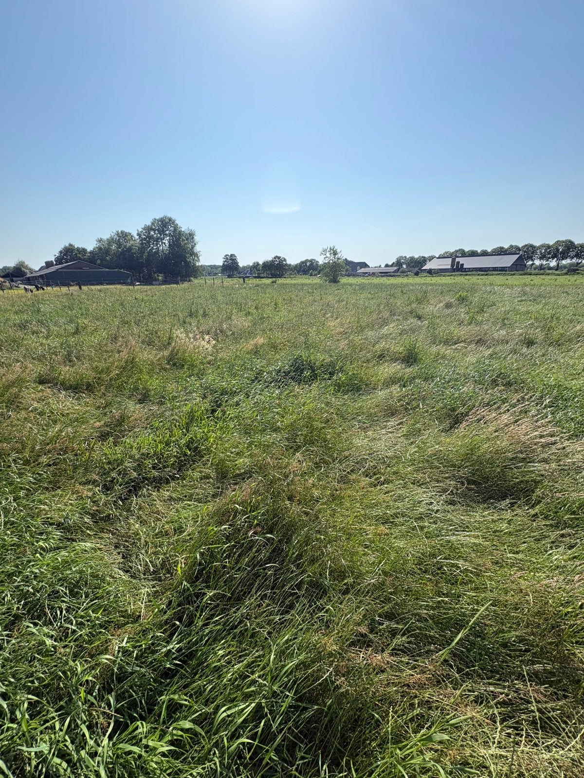 Hooi pakjes te koop, Dieren en Toebehoren, Stalling en Weidegang