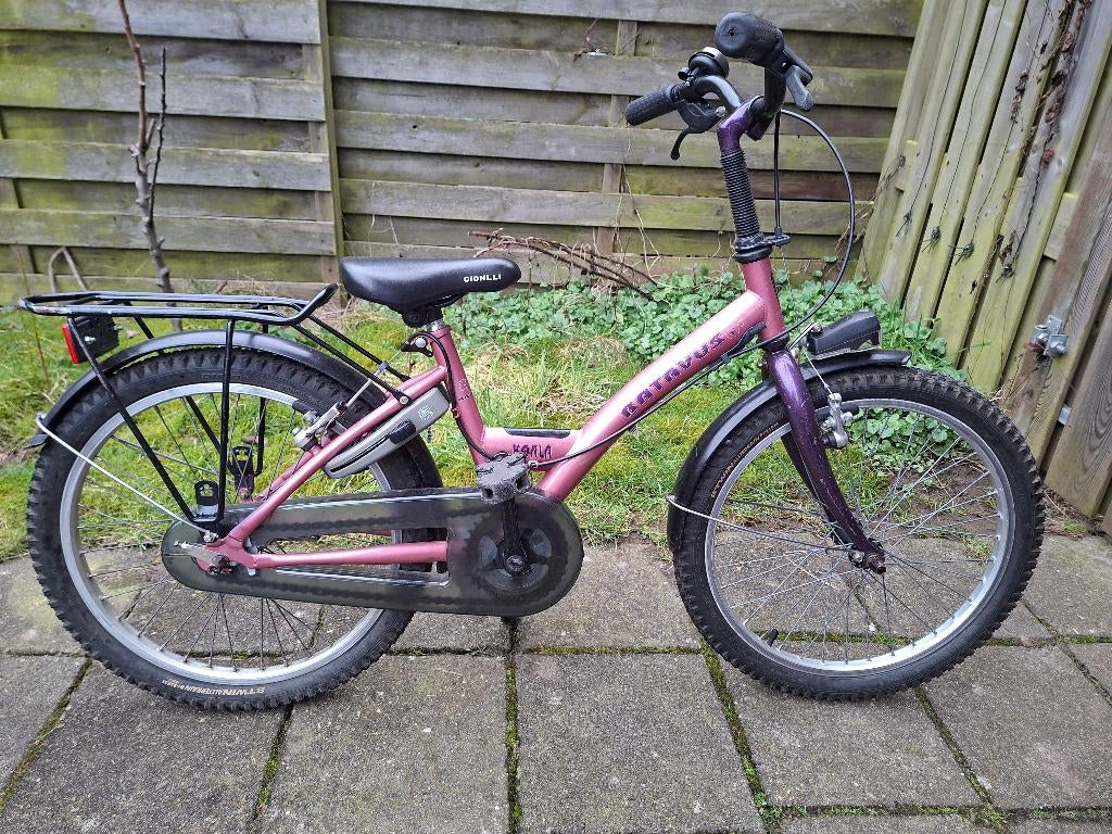 Batavus Koala 20 inch, Fietsen en Brommers, Ophalen, Gebruikt, Batavus, Handrem