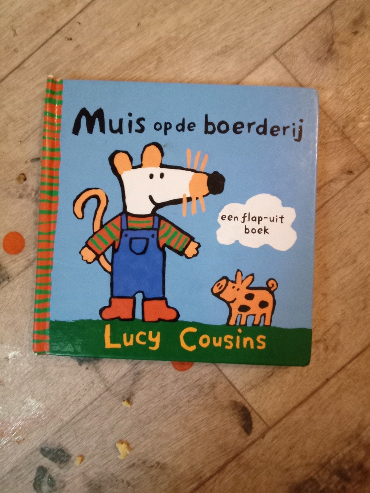 ontdekboek van muis mooie plaatjes en verhaaltjes erin, Ophalen of Verzenden, Nieuw, Muis, 2 tot 3 jaar