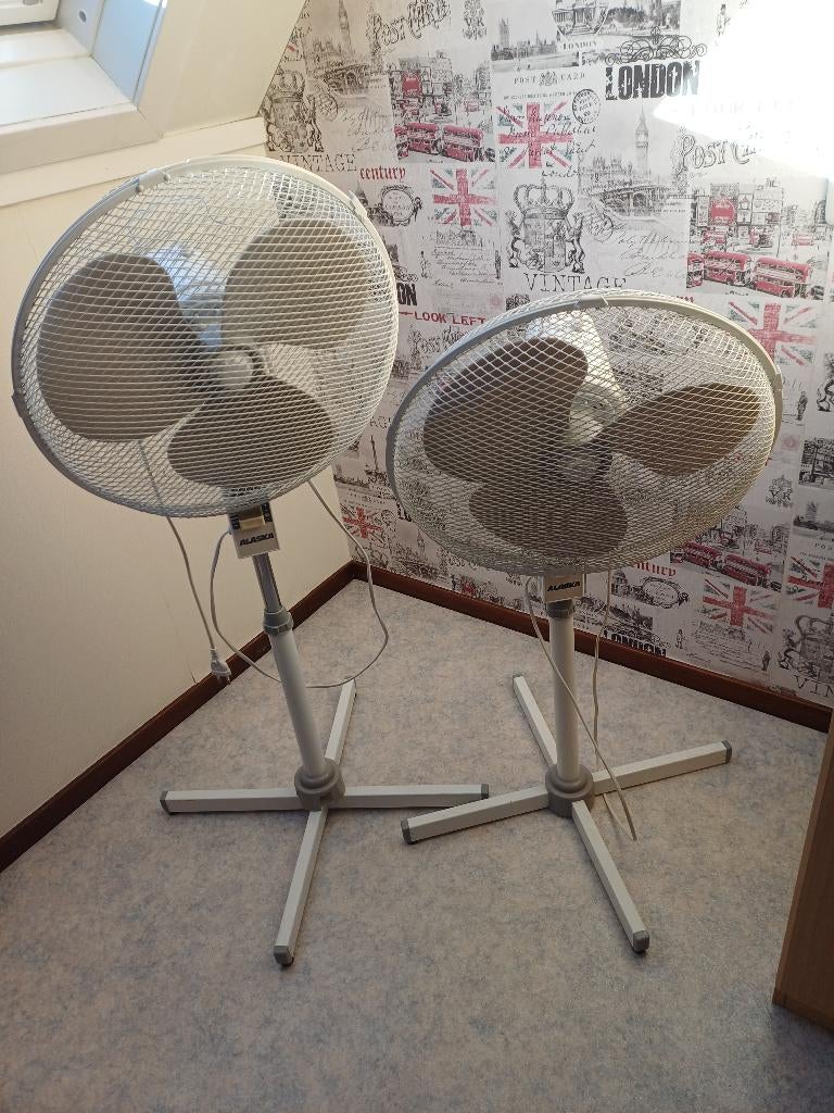 Twee staande ventilatoren Alaska, Ophalen, Gebruikt, Statiefventilator