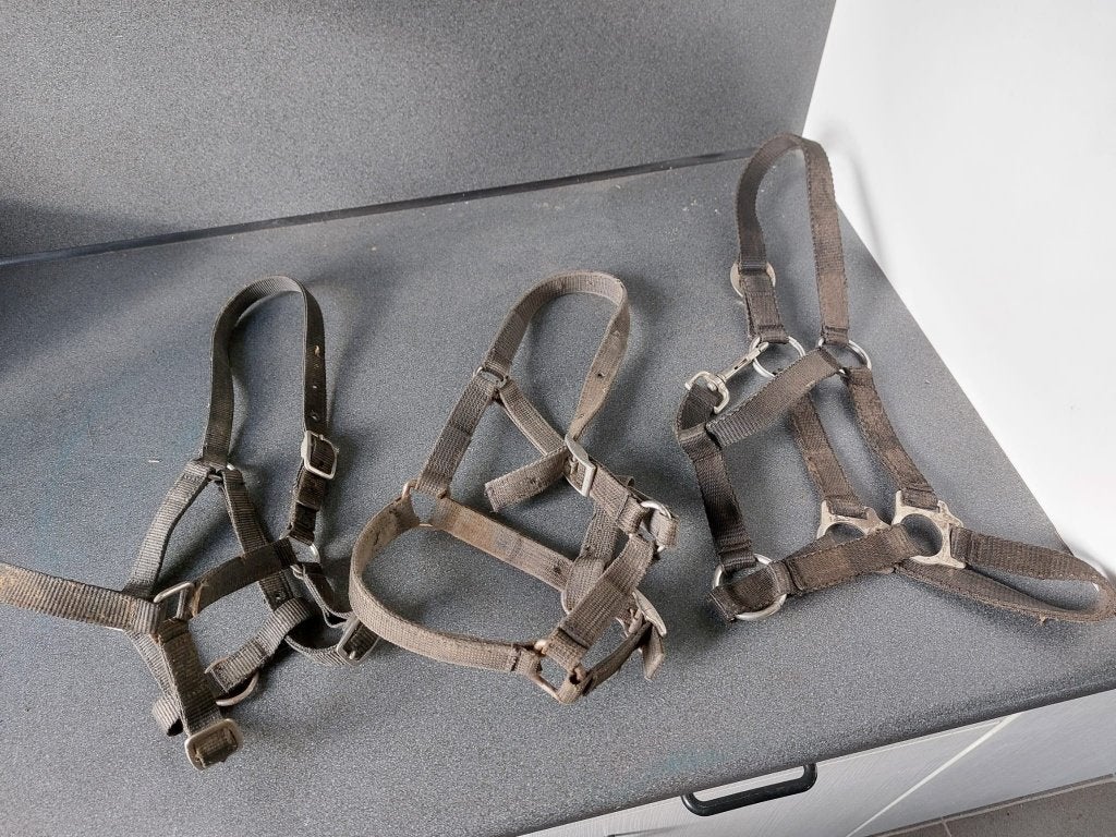 2 pony halsters en 1 medium, Gebruikt, Halster, Verstelbaar, Overige merken