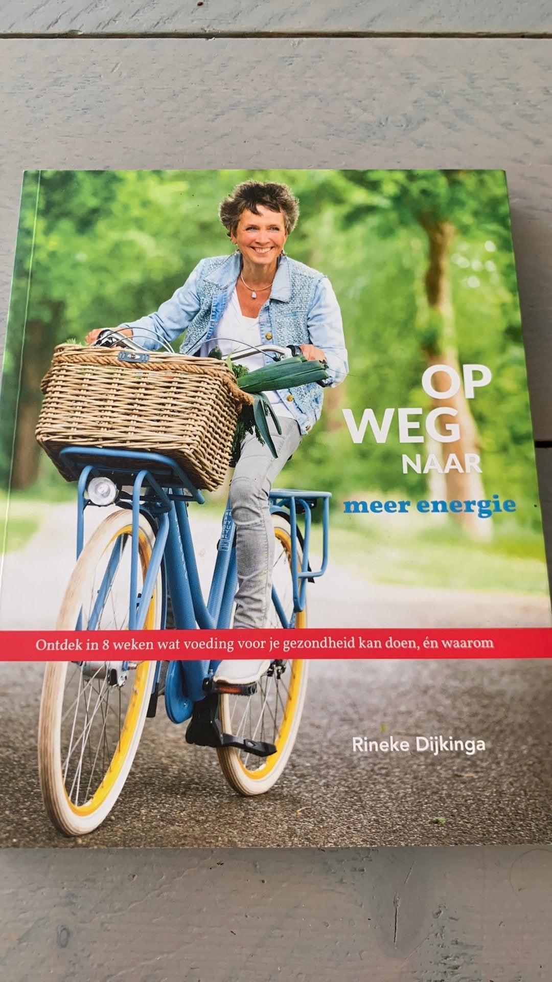 Rineke Dijkinga - Op weg naar meer energie, Ophalen of Verzenden, Zo goed als nieuw, Rineke Dijkinga