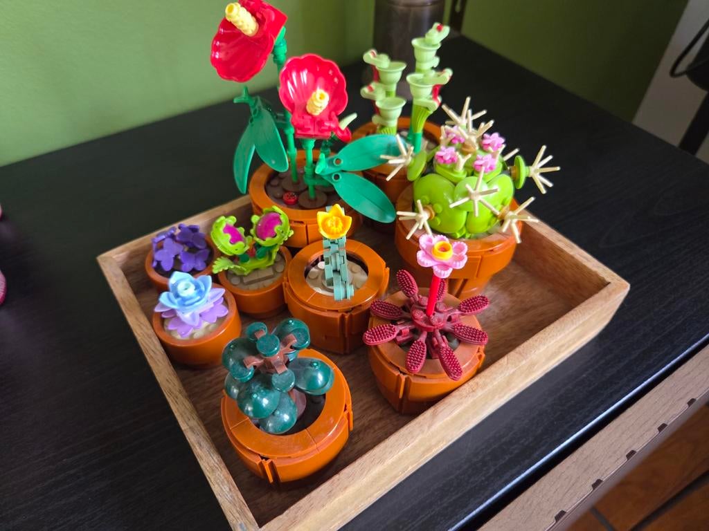 Lego 10329 botanical miniplantjes, Ophalen, Lego, Zo goed als nieuw, Complete set