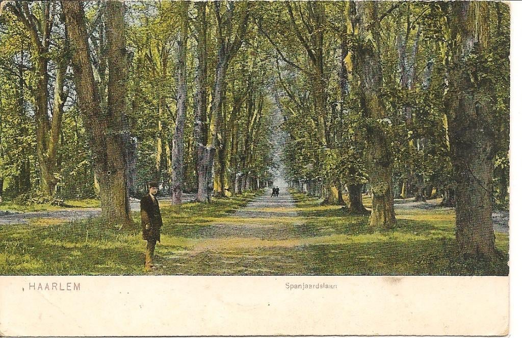 Haarlem Spanjaardlaan., Ophalen of Verzenden, 1920 tot 1940, Ongelopen, Noord-Holland