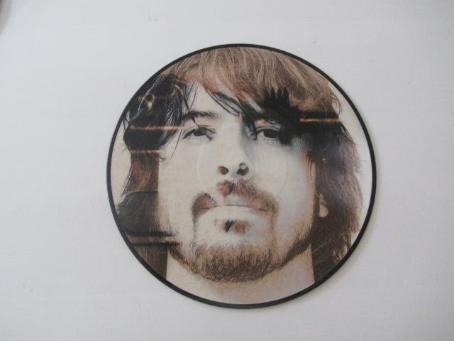 Foo Fighters LP Picture Disc, Ophalen of Verzenden, Nieuw in verpakking, Poprock