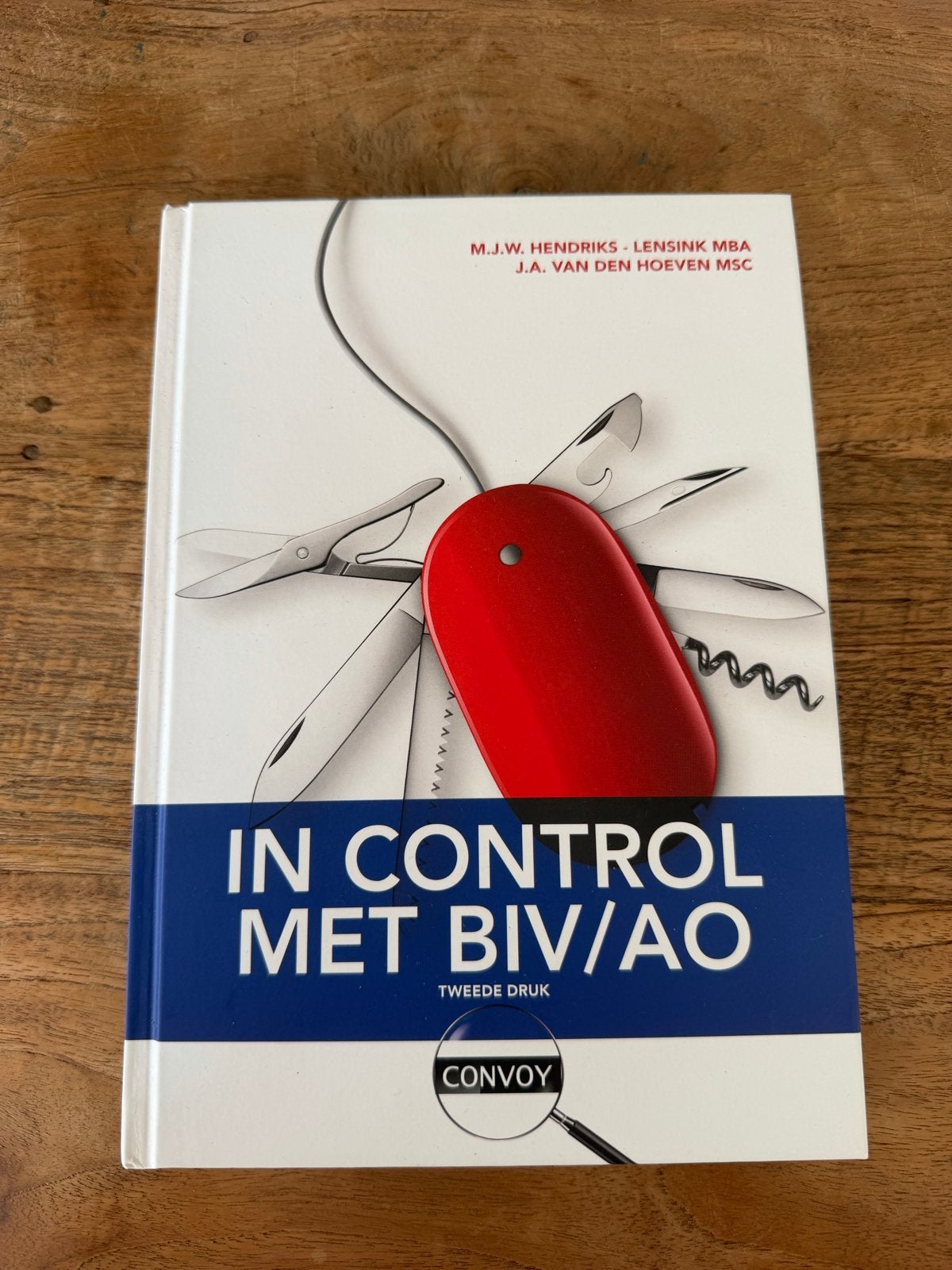 In Control met BIV/AO - Tweede Druk, Ophalen of Verzenden, Gamma, Zo goed als nieuw, HBO
