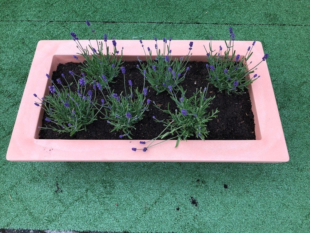 Rechthoekige Plantenbak bloembak kunststof bloempot, Kunststof, 40 cm of meer, Ophalen of Verzenden, Zo goed als nieuw
