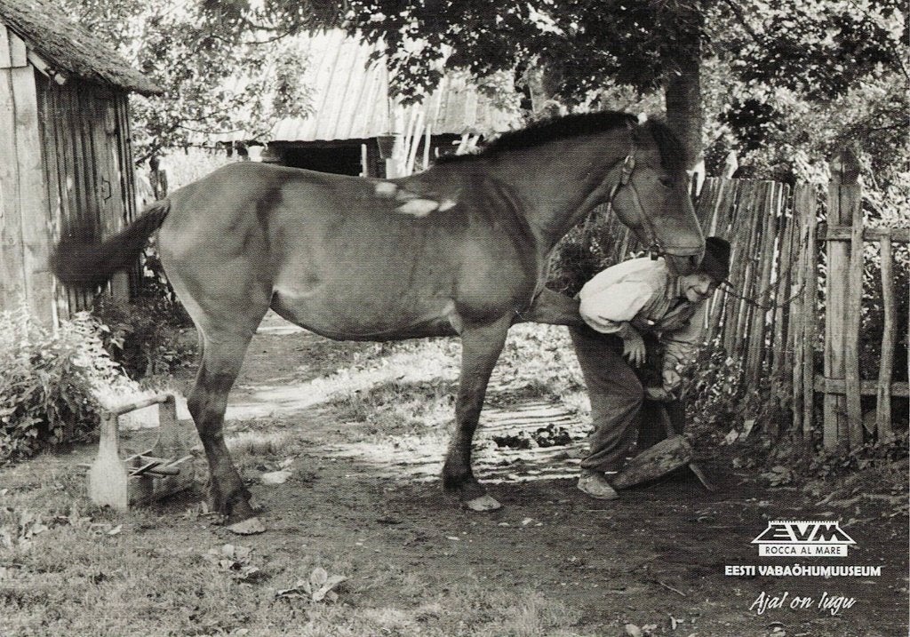 Paard  in Estland 133, Verzenden, 1980 tot heden, Ongelopen, Paard
