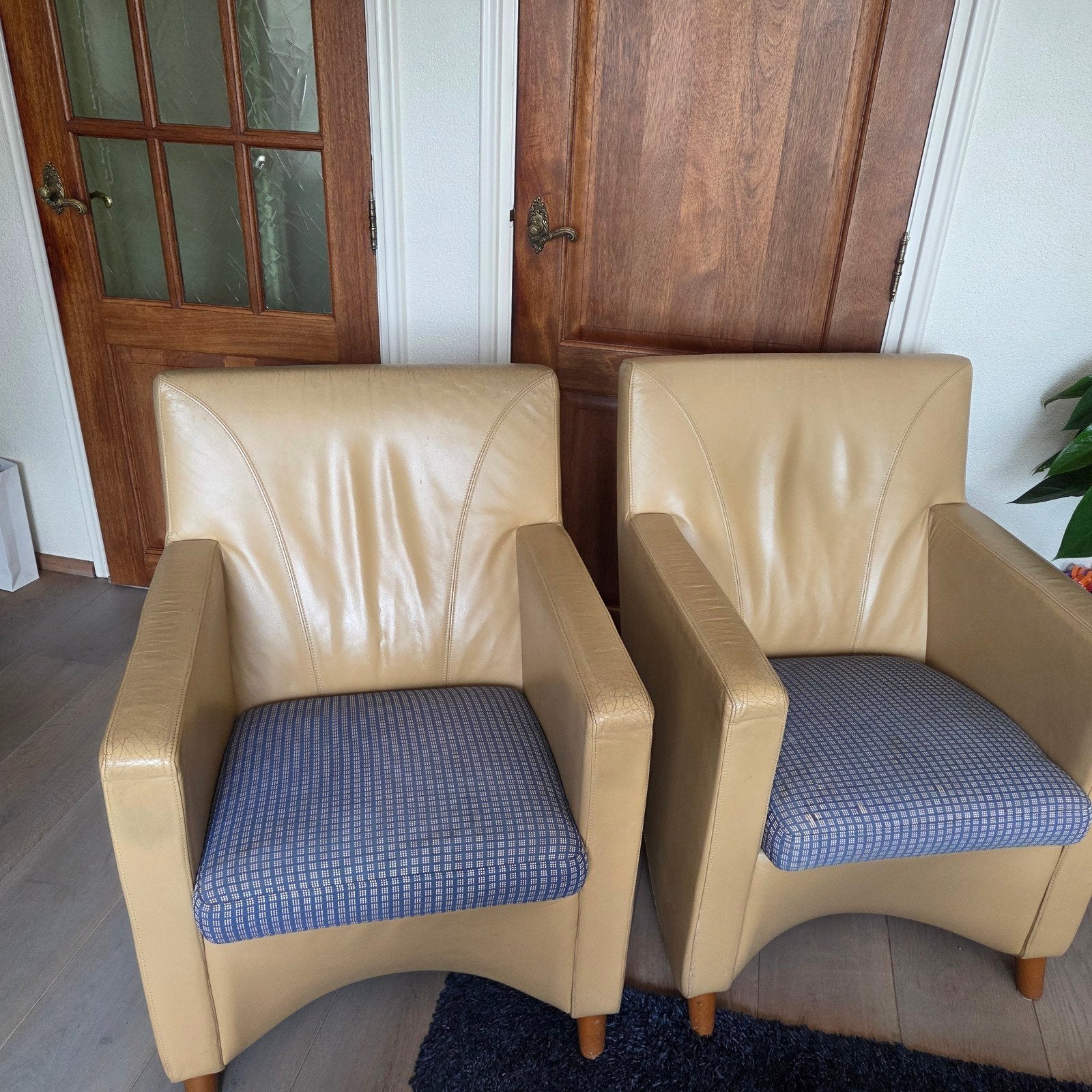 Leolux Dolcinea fauteuils - Jan Armgardt - Bi-color, Ophalen, Gebruikt, Design, Modern, 75 tot 100 cm