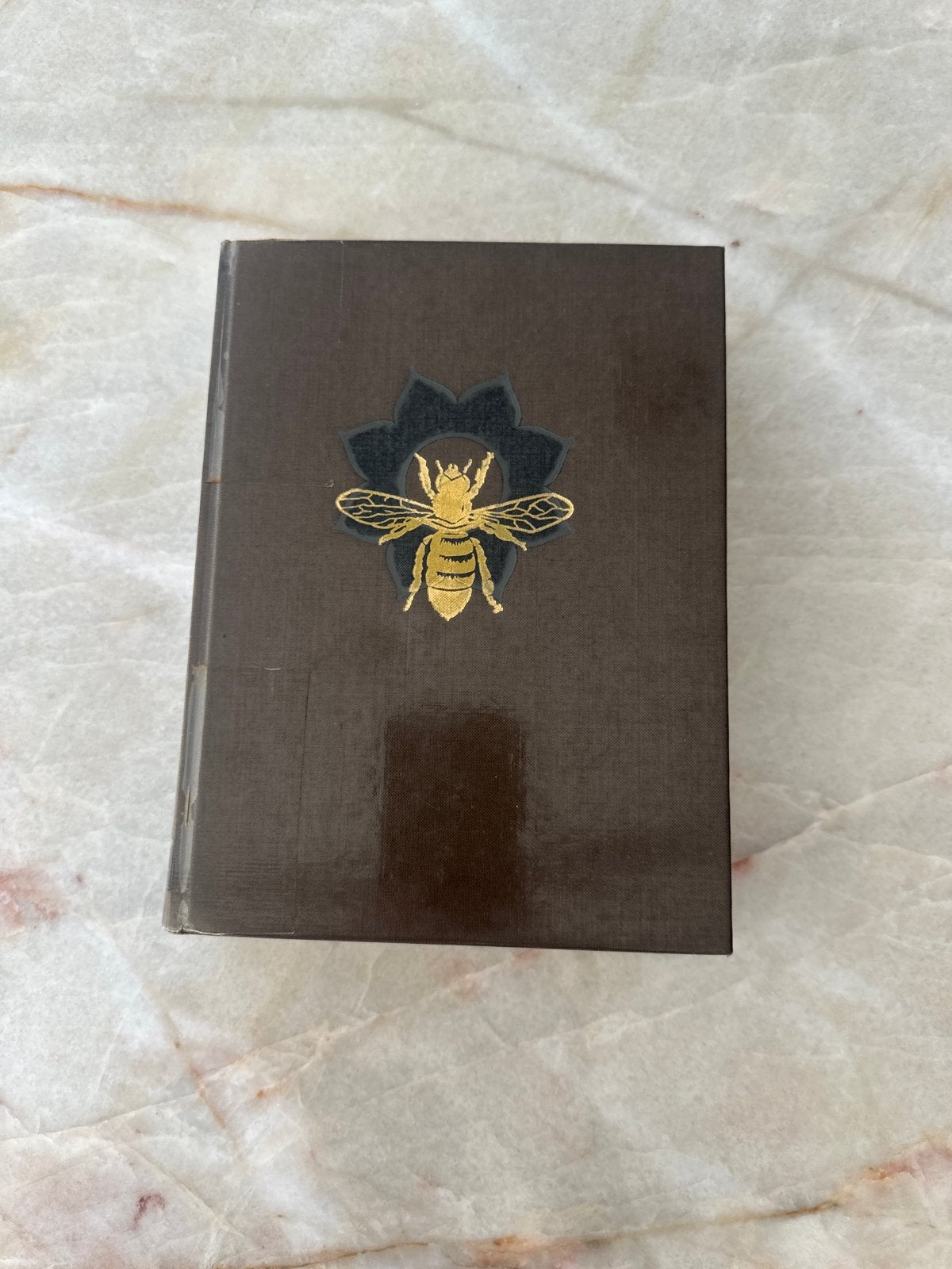 Handboek der Moderne Bienteelt - Schotman & Ronstapel, Boeken, Ophalen, Gelezen, Overige onderwerpen