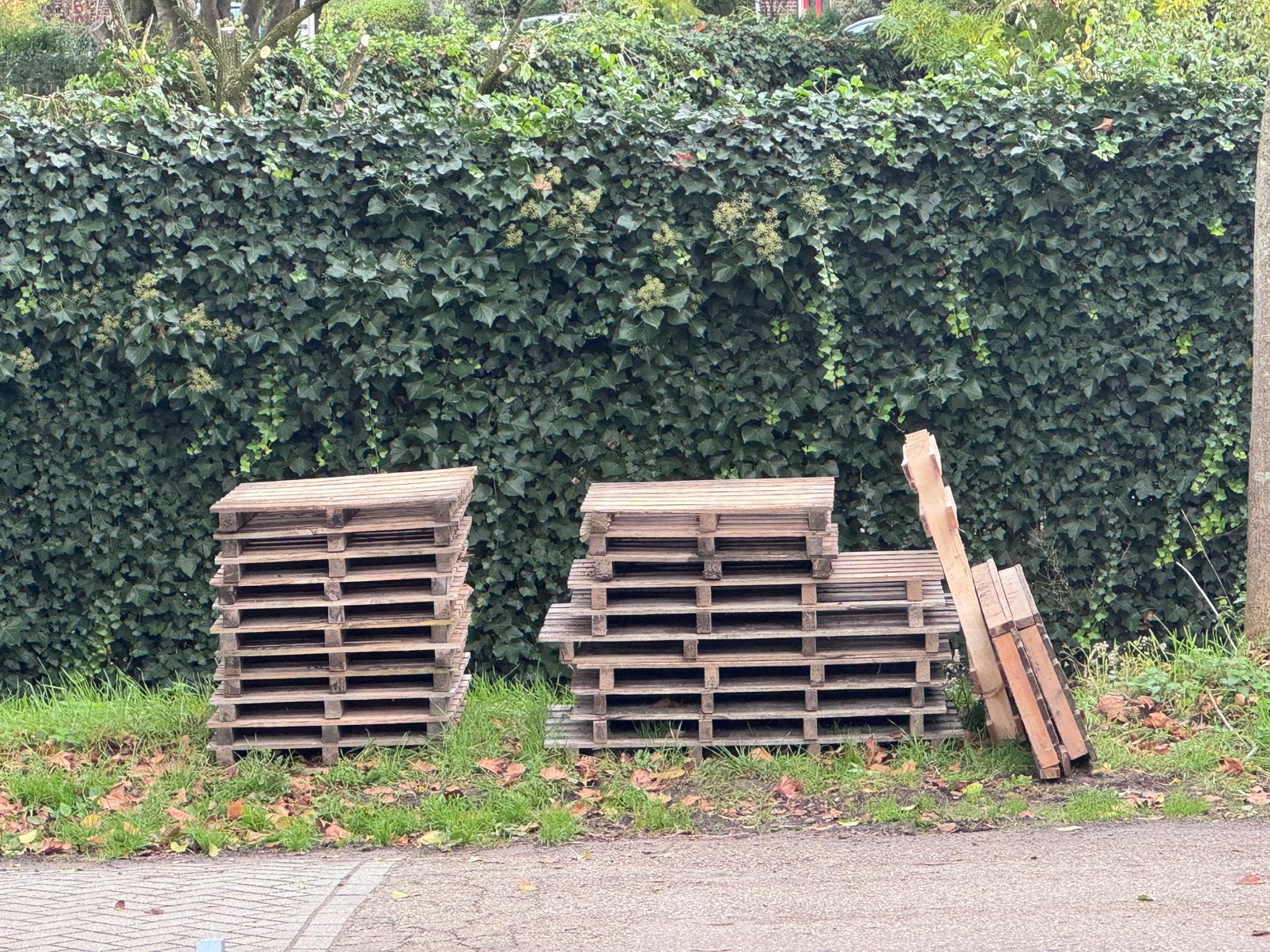 Palets gratis  er zijn er nog 6 over, Doe-het-zelf en Verbouw, Ophalen, Minder dan 25 mm, Zo goed als nieuw, Pallet