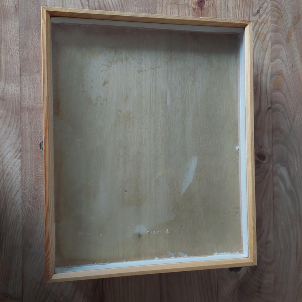 Insecten opbergbakken 51x42x6 cm, Ophalen of Verzenden, Gebruikt
