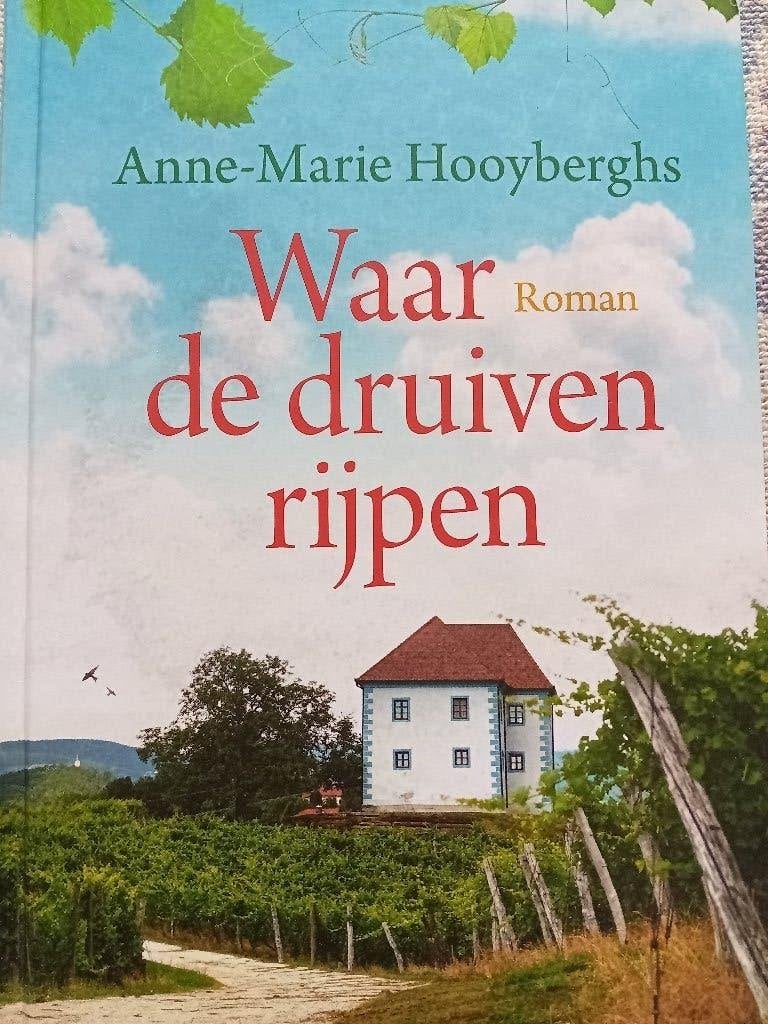 Anne-Marie Hooyberghs- Waar de Druiven rijpen, Boeken, Ophalen of Verzenden, Nieuw