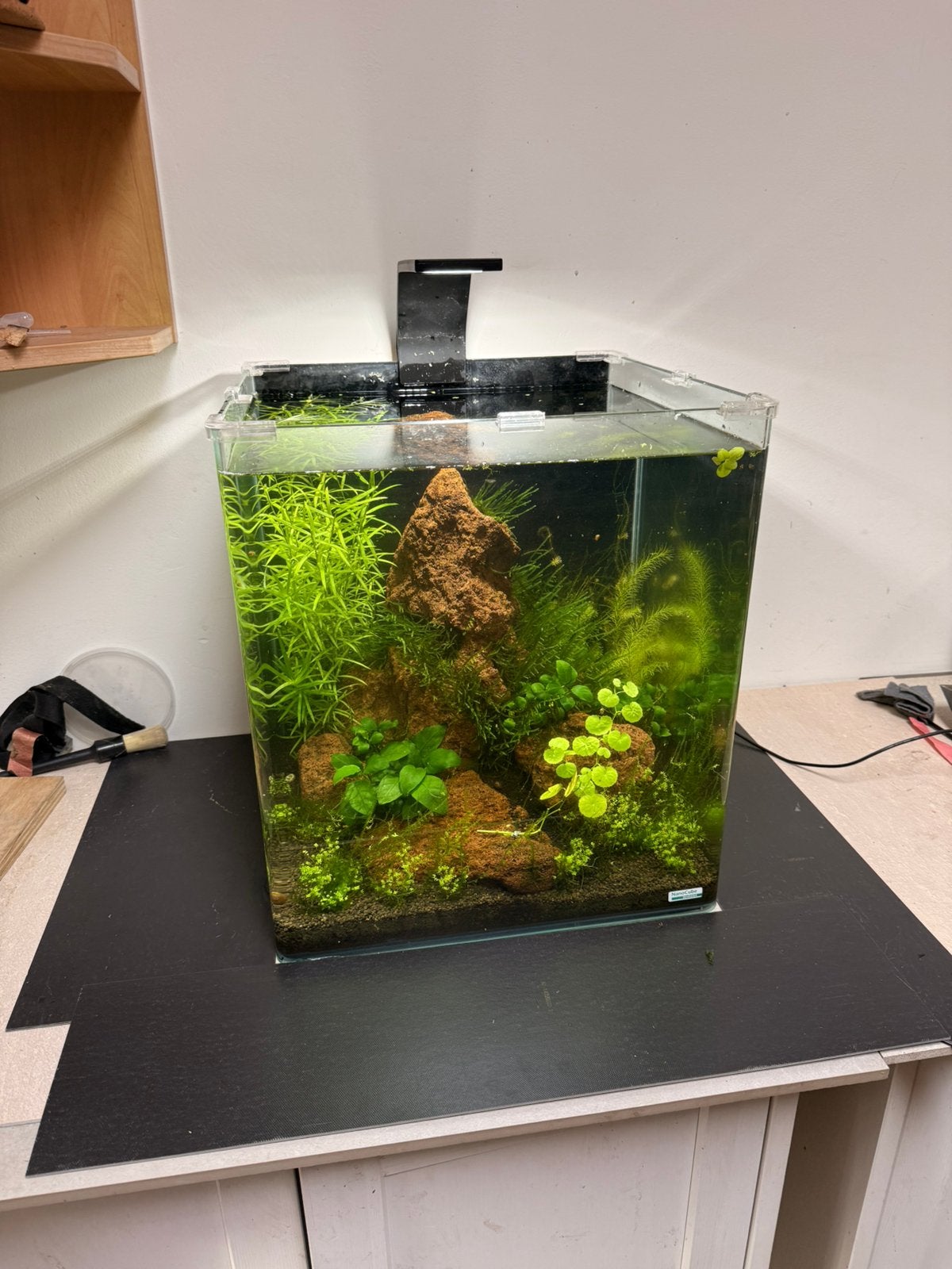 Dennerle Aquarium Nano Cube Complete 60, Dieren en Toebehoren, Vissen | Aquaria en Toebehoren, Ophalen, Verwarming, Dennerle, Gevuld zoetwateraquarium