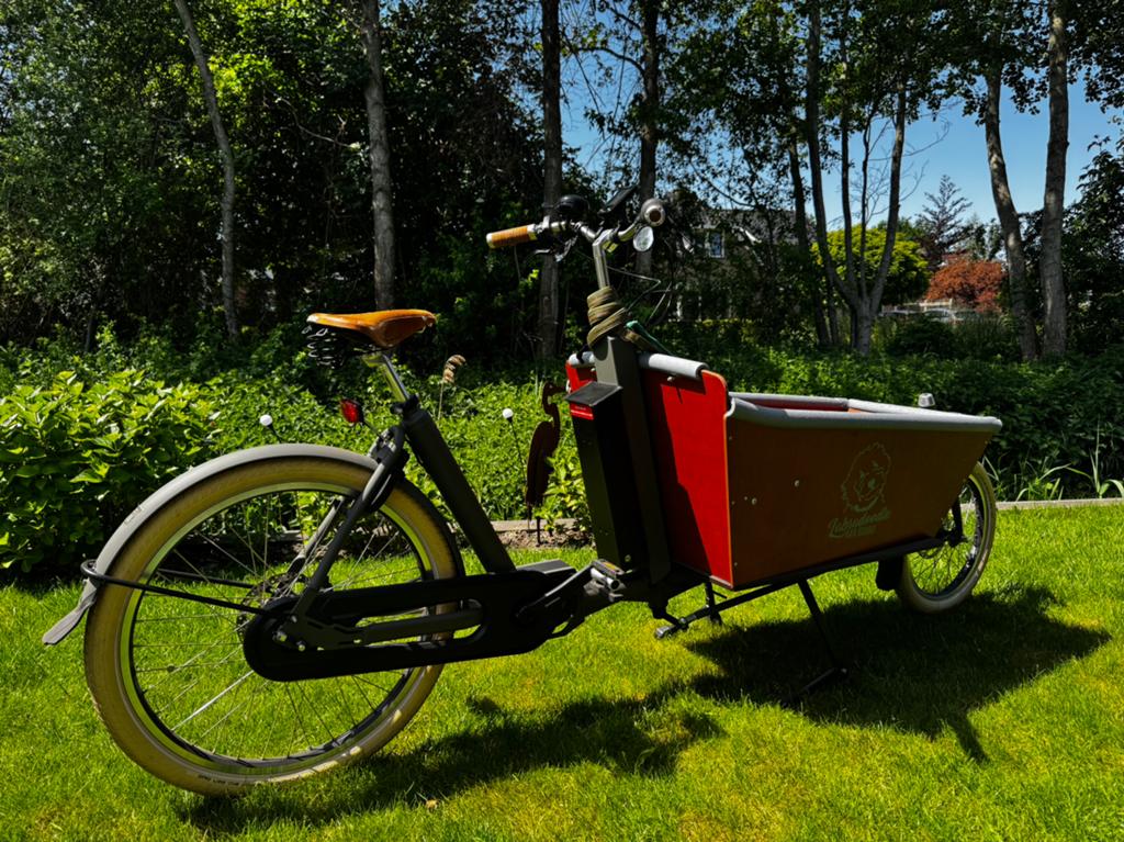 CargoBike Cruiser electrische bakfiets, Fietsen en Brommers, Fietsen | Bakfietsen, Zo goed als nieuw, 1 kind, Ophalen