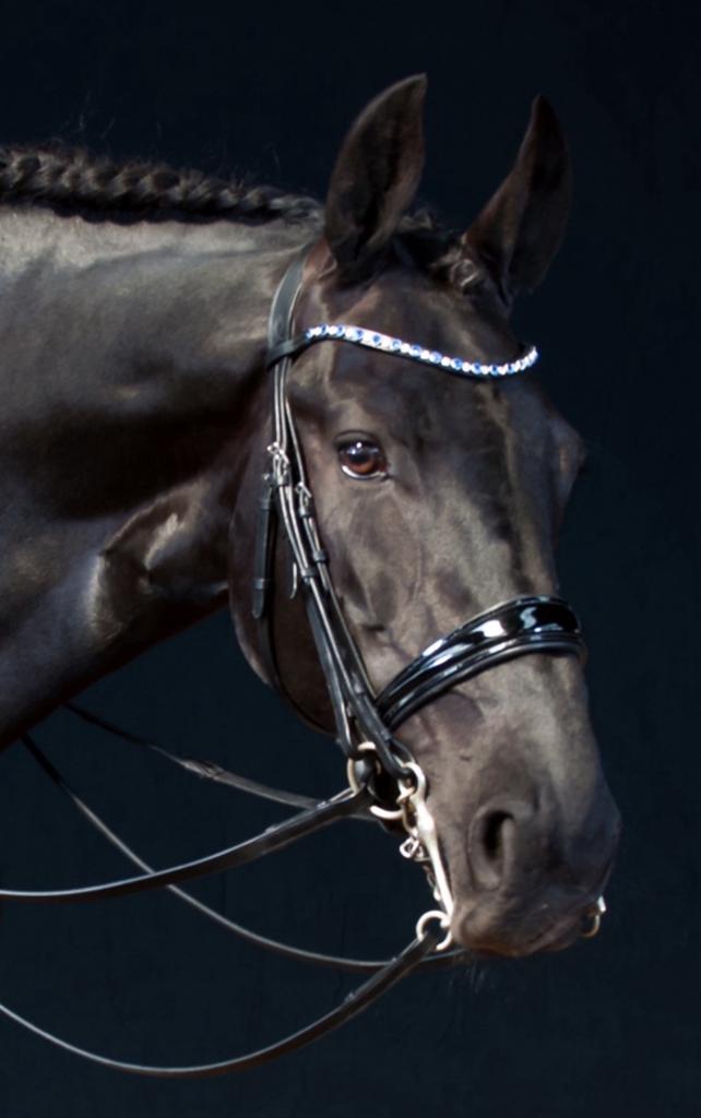 Bridle2fit stang en trens hoofdstel, Dieren en Toebehoren, Ophalen of Verzenden, Dressuur