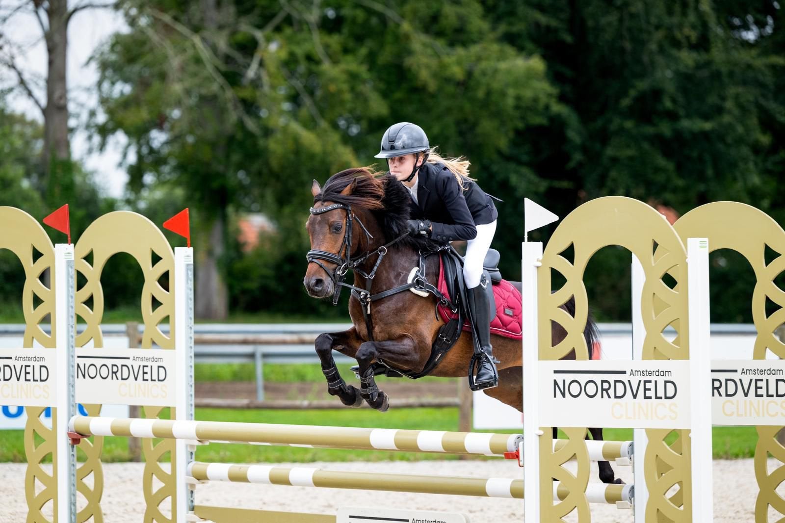 Super lieve Sportpony, Dieren en Toebehoren, Pony's, Met stamboom, Ruin, M, Springpony