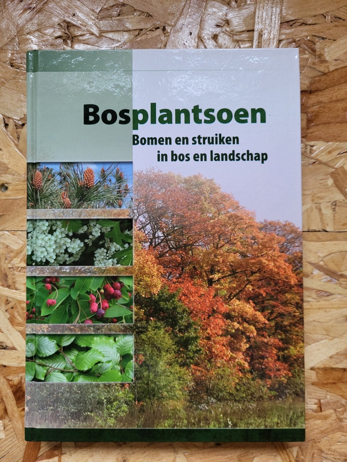 Bosplantsoen Bomen en struiken in bos en landschap, Bloemen, Planten en Bomen, Ophalen of Verzenden, Zo goed als nieuw, Exterkate en de beer