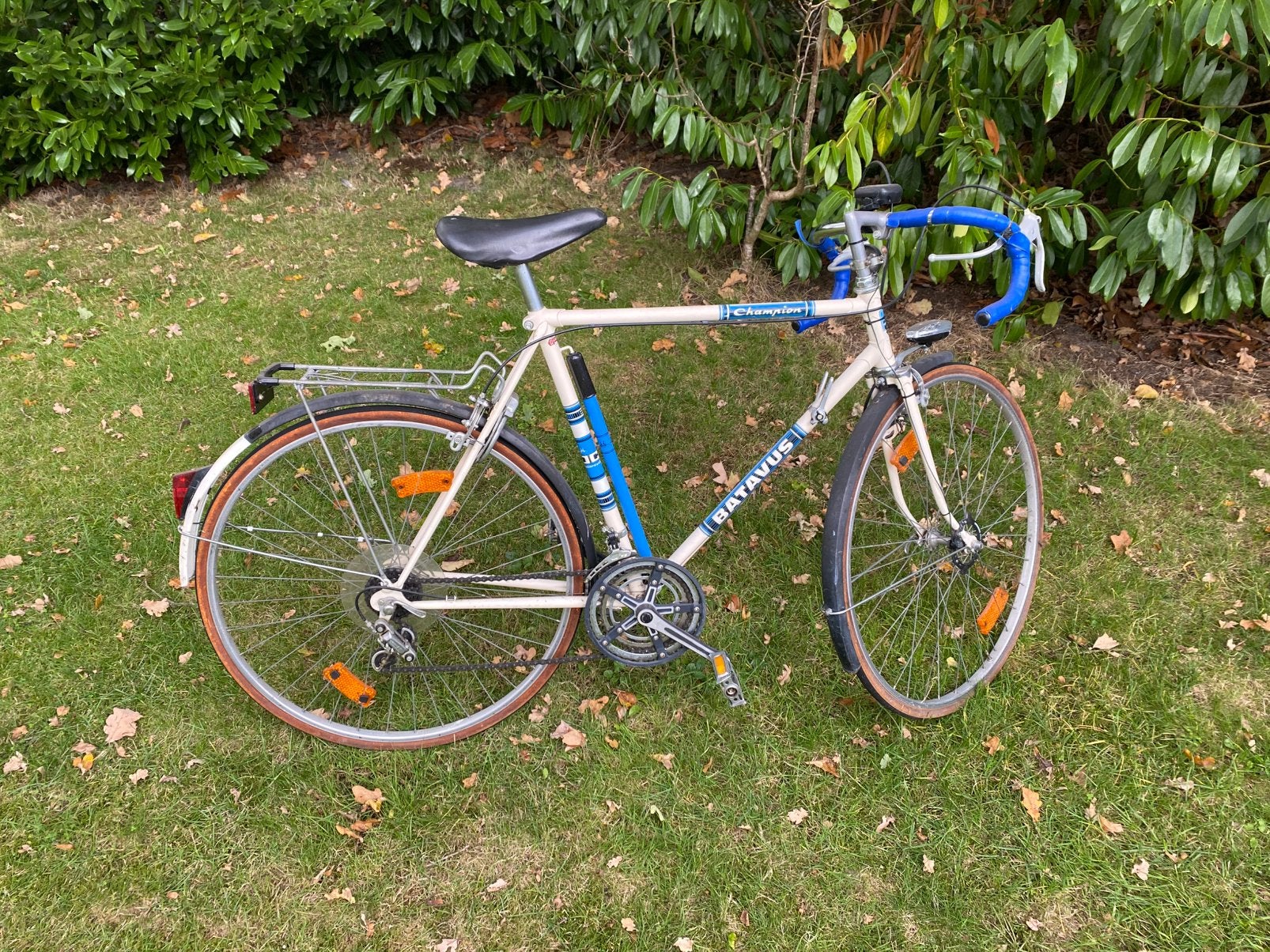 Batavus Champion, 59 cm of meer, Ophalen