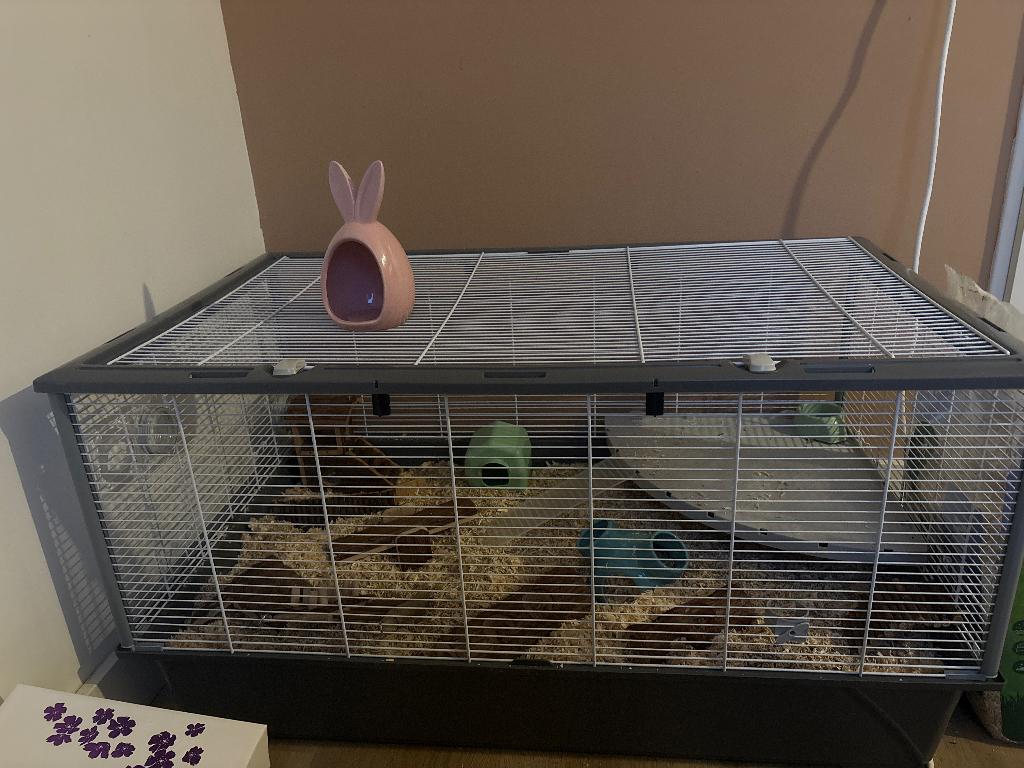 Hamsterkooi 100x50x50, Dieren en Toebehoren, Knaagdieren en Konijnen | Hokken en Kooien, Kooi, Minder dan 75 cm, Zo goed als nieuw