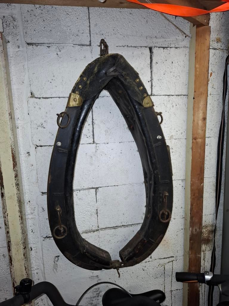 Paardenhaam hoofdstel paard, Ophalen