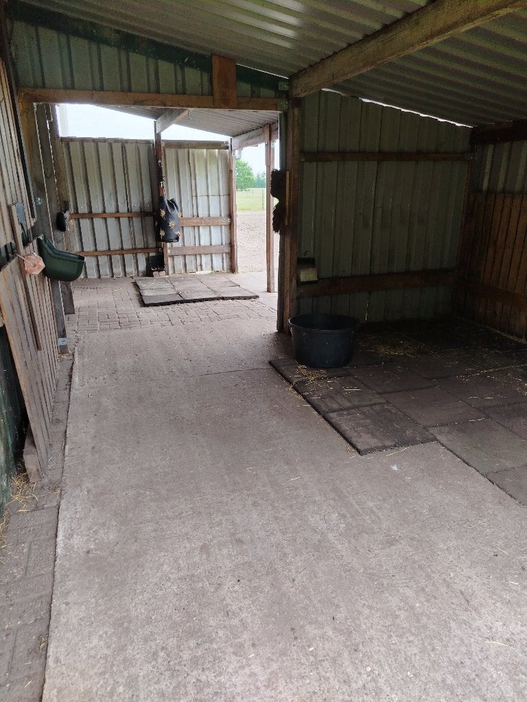 Weidemaatje gezocht, Dieren en Toebehoren, Stalling en Weidegang, Weidegang, 1 paard of pony