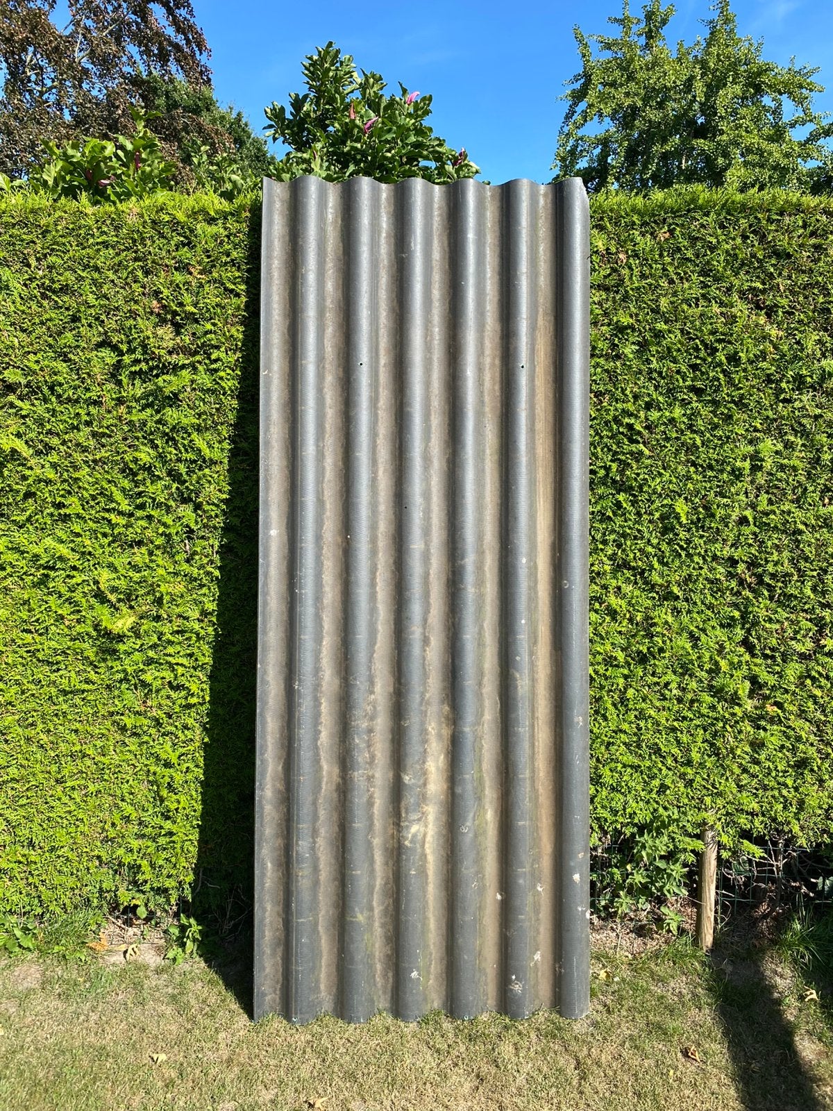 Asbest vrije Golfplaat 274 x 110 cm  3 stuks, Ophalen, Overige materialen, Zwart, Zo goed als nieuw