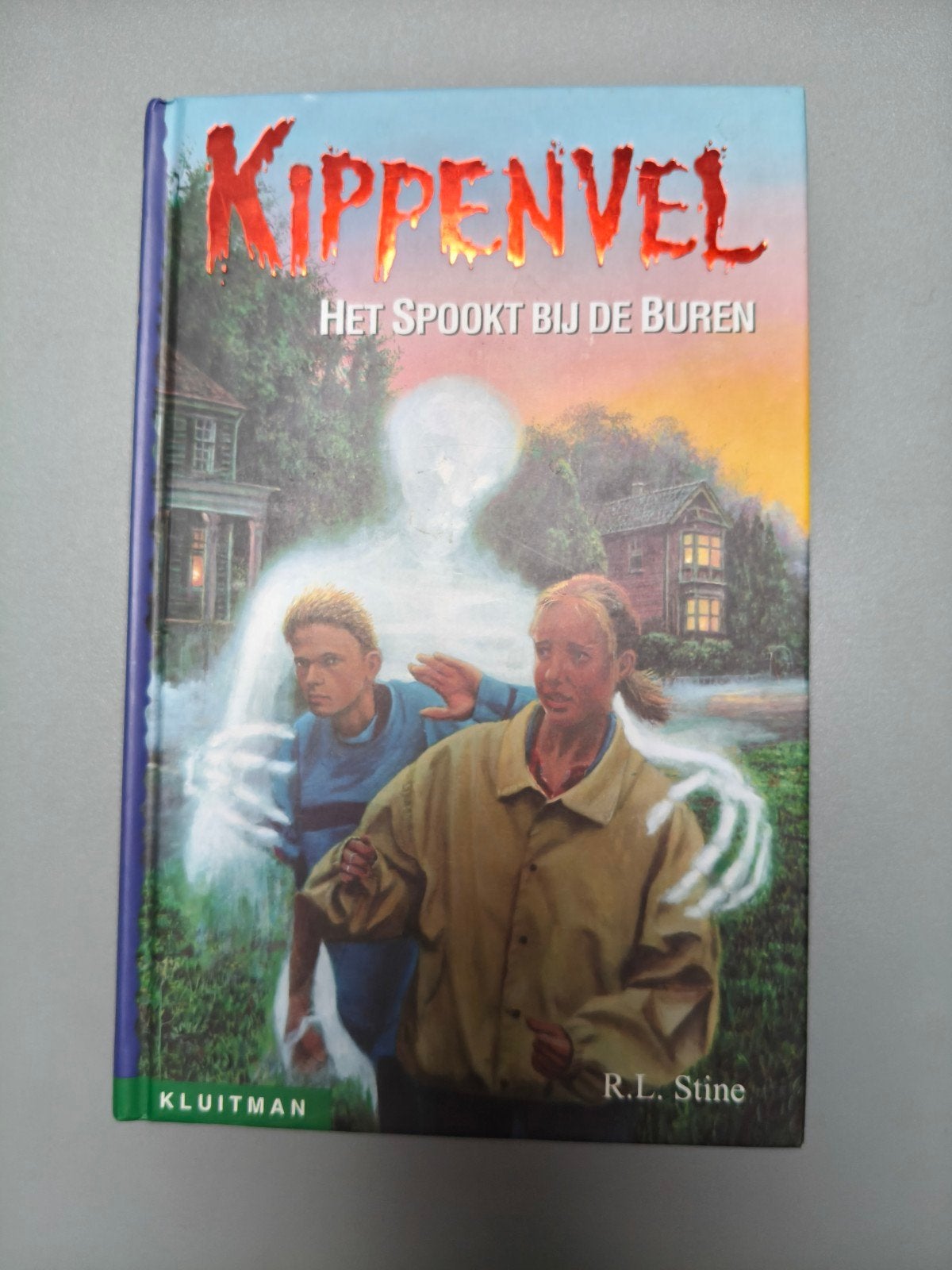 Kippenvel: Het Spookt Bij De Buren - R.L. Stine, Boeken, Ophalen of Verzenden