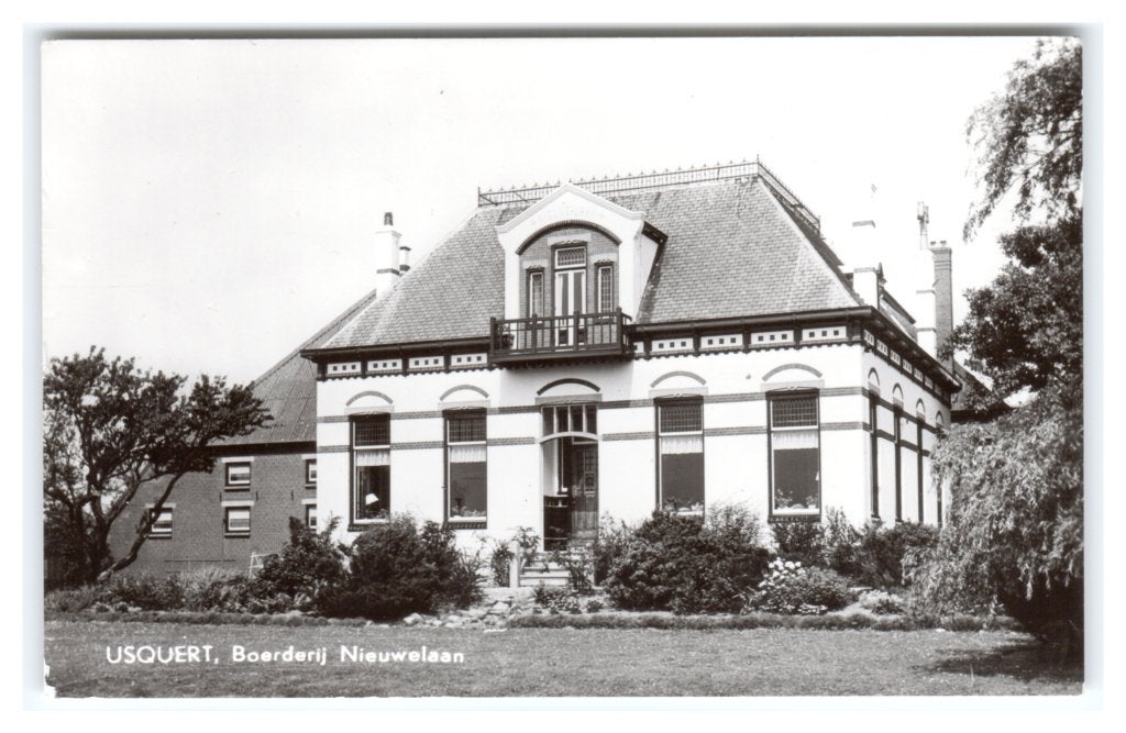 Usquert, Boerderij Nieuwelaan, Verzenden, 1960 tot 1980, Ongelopen, Groningen