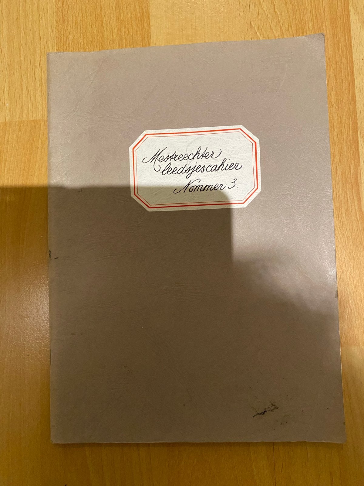 Mestreechter Leedjescahier Nummer 3 - Mei 1990, Ophalen of Verzenden, Gelezen, Overige onderwerpen
