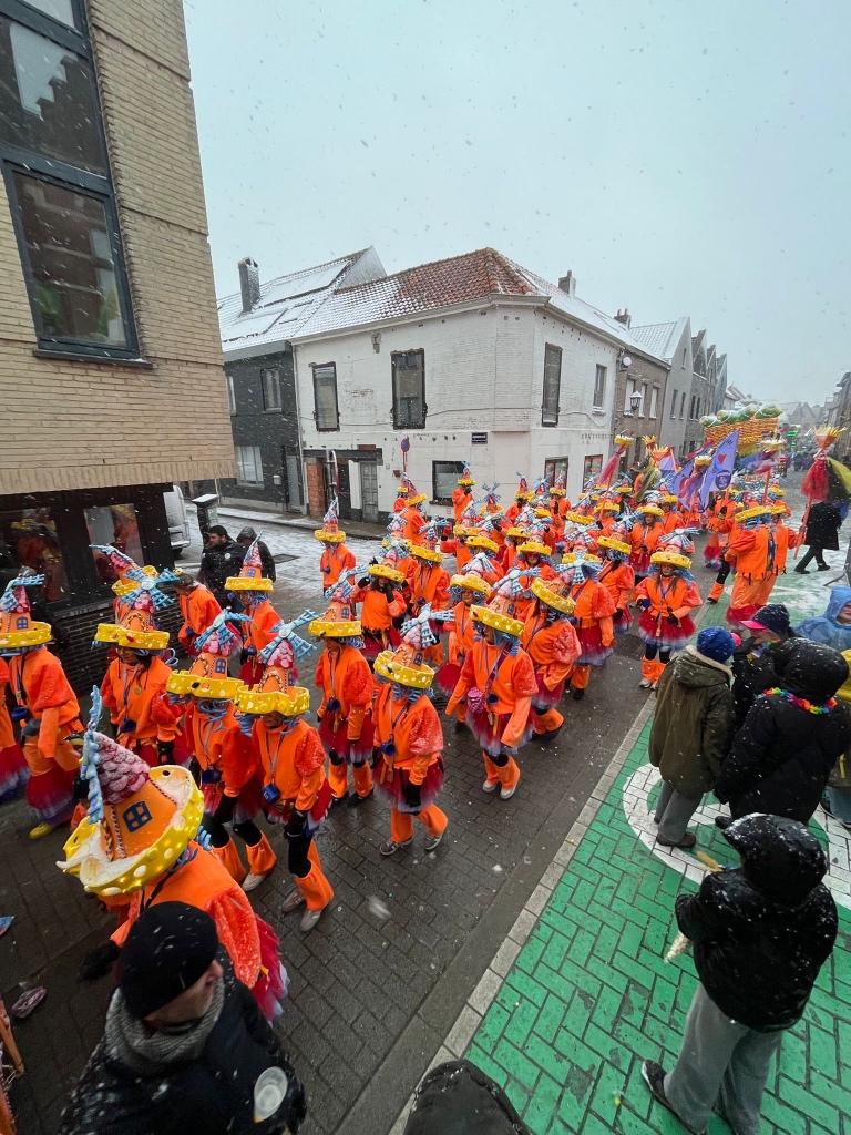 Carnavalshoeden, Ophalen, Carnaval, Maat 42/44 (L), Accessoires