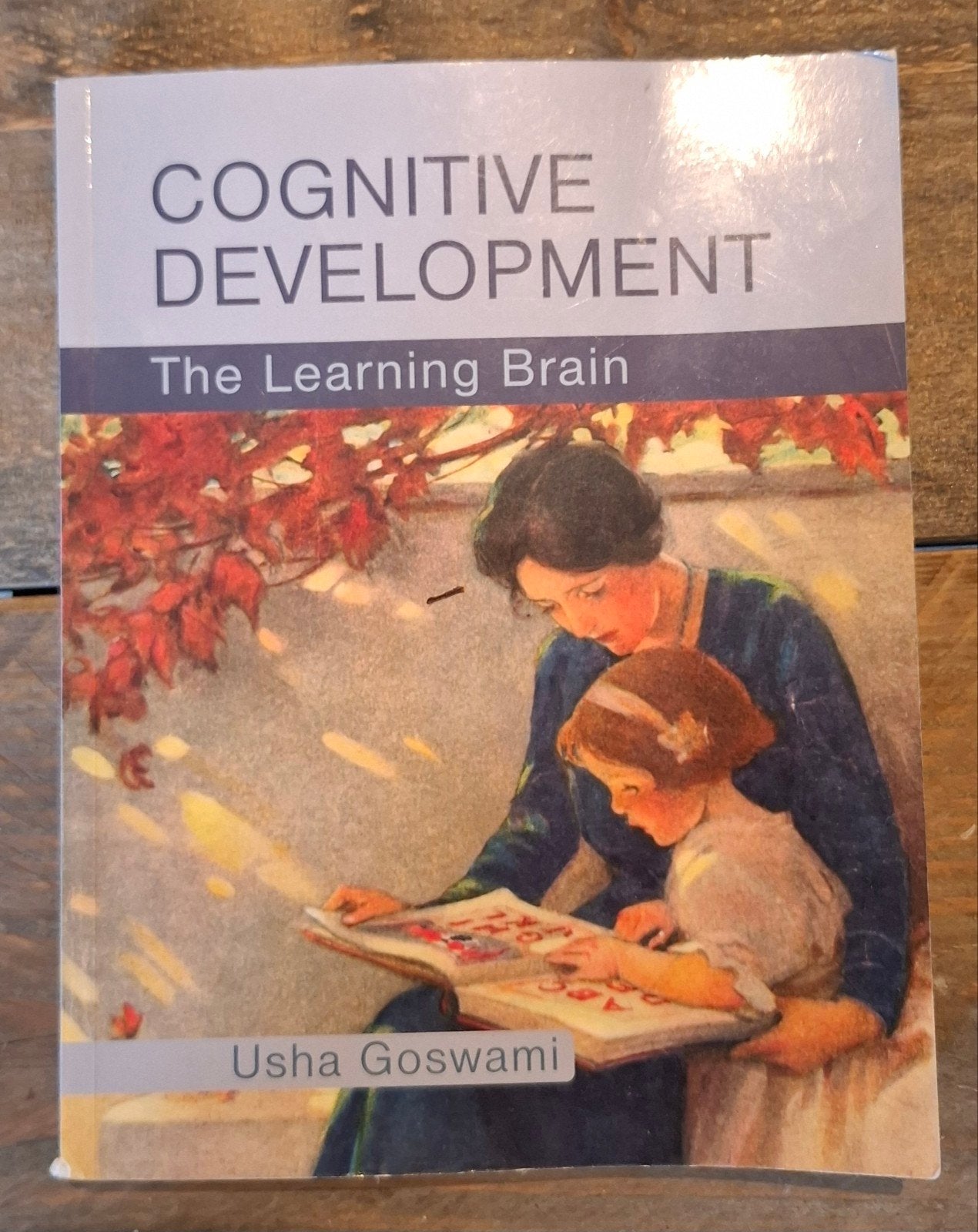 Cognitive Development: The Learning Brain - Usha Goswami, Boeken, Psychologie, Usha Goswami, Ophalen of Verzenden, Ontwikkelingspsychologie