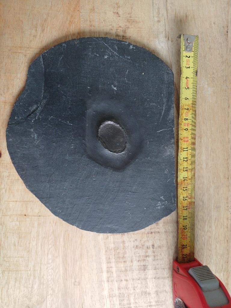 Versteende Mosselafdruk, Verzamelen, Mineralen en Fossielen, Ophalen of Verzenden, Fossiel